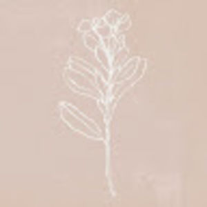 Meet your Posher, Bennett